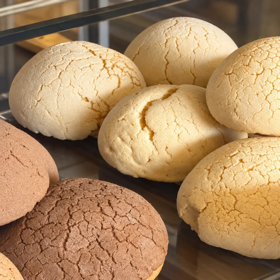 Conchas